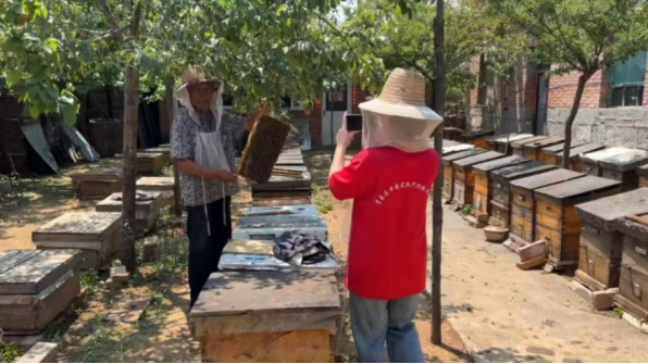 图片.png 图片.png